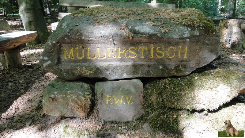 Ritterstein Nr. 169-1 Müllerstisch.JPG - Ritterstein Nr.169 Müllerstisch